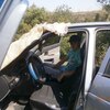 Дима, 21, г.Новоукраинка Дима, 21, г.Новоукраинка