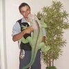 денис, 33, г.Александровское (Томская обл.) денис, 33, г.Александровское (Томская обл.)