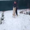 Сергей, 46, г.Верея Сергей, 46, г.Верея