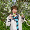 РАИСА, 66, г.Переславль-Залесский РАИСА, 66, г.Переславль-Залесский