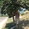 Владимир, 57, г.Тюмень Владимир, 57, г.Тюмень