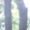 Константин, 34, г.Северодонецк Константин, 34, г.Северодонецк