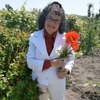 Вера, 58, г.Белая Калитва Вера, 58, г.Белая Калитва