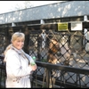 тамара, 61, г.Ломоносов тамара, 61, г.Ломоносов