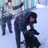 георгий, 26, г.Красновишерск георгий, 26, г.Красновишерск