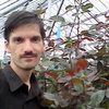 Александр, 38, г.Киров (Кировская обл.) Александр, 38, г.Киров (Кировская обл.)