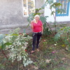 Твоё солнце, 56, г.Сарата Твоё солнце, 56, г.Сарата
