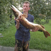 андрей, 45, г.Сестрорецк андрей, 45, г.Сестрорецк