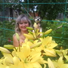Скорпион, 57, г.Карабаново Скорпион, 57, г.Карабаново