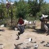 Romaw, 28, г.Баку Romaw, 28, г.Баку