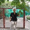Эльвира, 68, г.Ворошиловград Эльвира, 68, г.Ворошиловград