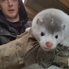 Minde, 39, г.Хернинг Minde, 39, г.Хернинг