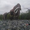 Александр, 48, г.Курган Александр, 48, г.Курган