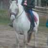 Андрей, 26, г.Красноармейск Андрей, 26, г.Красноармейск