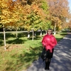 Елена, 48, г.Ростов-на-Дону Елена, 48, г.Ростов-на-Дону