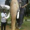 vinod mn, 47, г.Gurgaon vinod mn, 47, г.Gurgaon