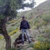 ALEX, 37, г.Адрасман ALEX, 37, г.Адрасман