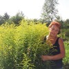 Зинаида Шилова (Будин, 62, г.Губаха Зинаида Шилова (Будин, 62, г.Губаха