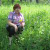 Альбина, 61, г.Емельяново Альбина, 61, г.Емельяново
