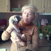 Анна, 41, г.Архангельск Анна, 41, г.Архангельск