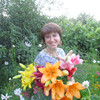 Саша .Елена, 41, г.Сергач Саша .Елена, 41, г.Сергач