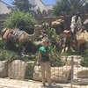 Alex, 38, г.Новополоцк Alex, 38, г.Новополоцк