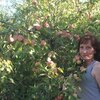 Наташа, 33, г.Ульяновск Наташа, 33, г.Ульяновск