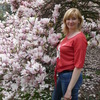 Елена, 50, г.Челябинск Елена, 50, г.Челябинск