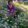 Роза, 65, г.Кушва Роза, 65, г.Кушва