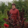 Светлана, 62, г.Кез Светлана, 62, г.Кез