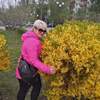 Галина, 49, г.Губкин Галина, 49, г.Губкин