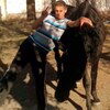 рома, 24, г.Вольногорск рома, 24, г.Вольногорск