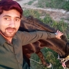 Saif, 24, г.Исламабад Saif, 24, г.Исламабад