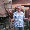 Сергей, 56, г.Мончегорск Сергей, 56, г.Мончегорск