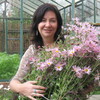 Лада, 49, г.Казань Лада, 49, г.Казань