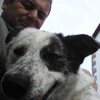 ilia, 48, г.Тбилиси ilia, 48, г.Тбилиси