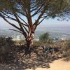 Doreen, 18, г.Колумбус Doreen, 18, г.Колумбус
