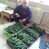 сергей, 57, г.Нальчик сергей, 57, г.Нальчик