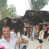 вова, 46, г.Ананьев вова, 46, г.Ананьев
