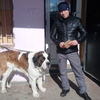 Айрат, 39, г.Крымск Айрат, 39, г.Крымск