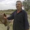 Vladimir, 62, г.Алматы́ Vladimir, 62, г.Алматы́