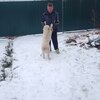 Сергей, 44, г.Верея Сергей, 44, г.Верея