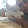 Фанис, 30, г.Ульяновск Фанис, 30, г.Ульяновск