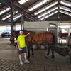 андрей, 28, г.Антверпен андрей, 28, г.Антверпен