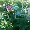 ТАТКА, 43, г.Ростов-на-Дону ТАТКА, 43, г.Ростов-на-Дону