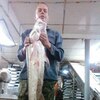 Андрей, 43, г.Ванино Андрей, 43, г.Ванино