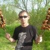 Алексей, 33, г.Лысые Горы Алексей, 33, г.Лысые Горы