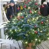 Екатерина, 36, г.Белая Калитва Екатерина, 36, г.Белая Калитва