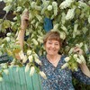 Тамара, 66, г.Заиграево Тамара, 66, г.Заиграево