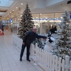 sigitas, 51, г.Pinneberg sigitas, 51, г.Pinneberg